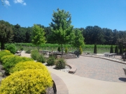 Deckside Patio Vineyard View