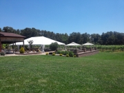 Vineyard Tent, Open Sides, Patio, Pavilion, Pergolas, Vineyard