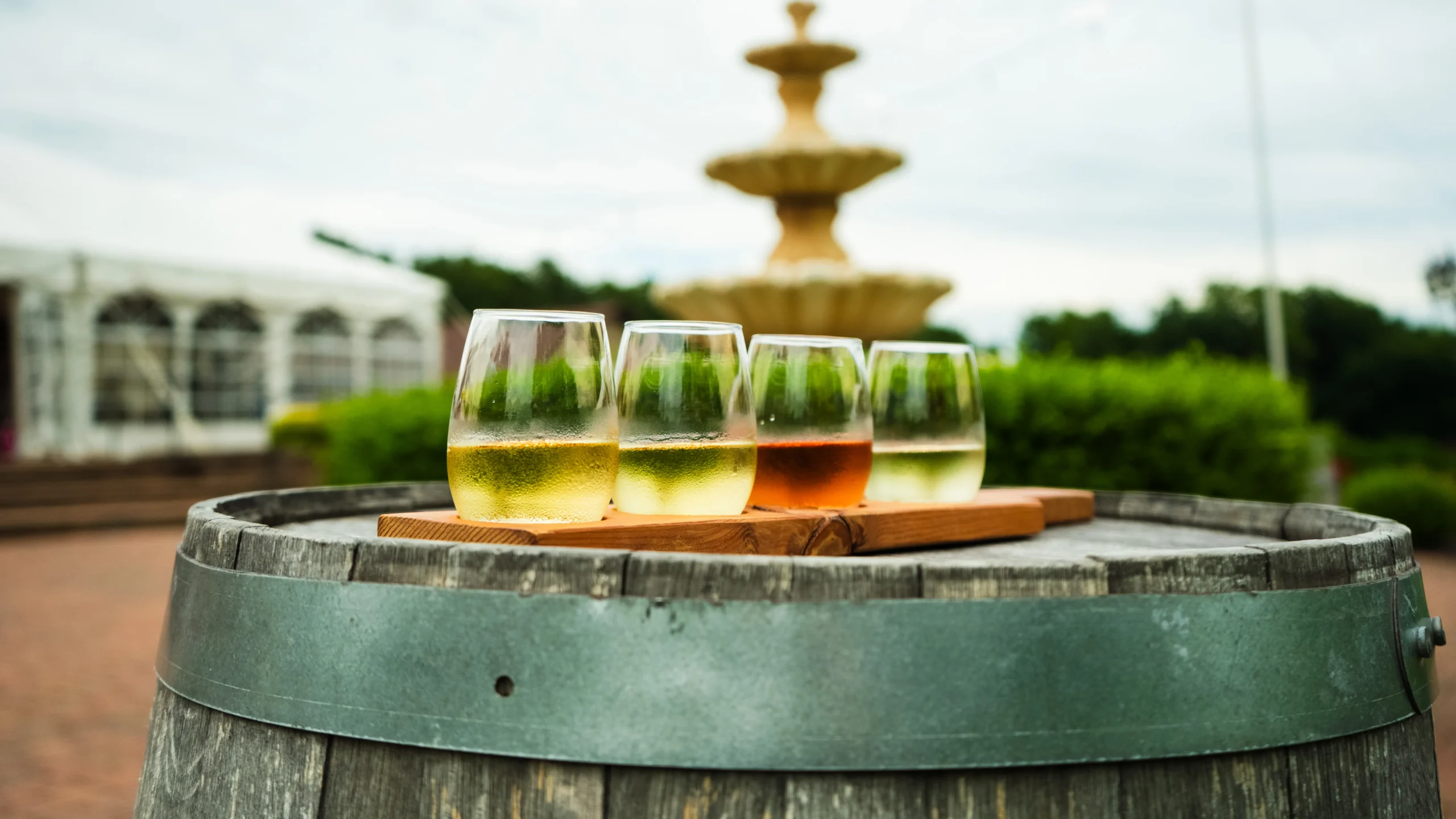 Current wine tasting experience at Villa Antonio Winery