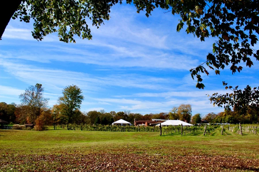 Villa Antonio Winery property and wedding setting