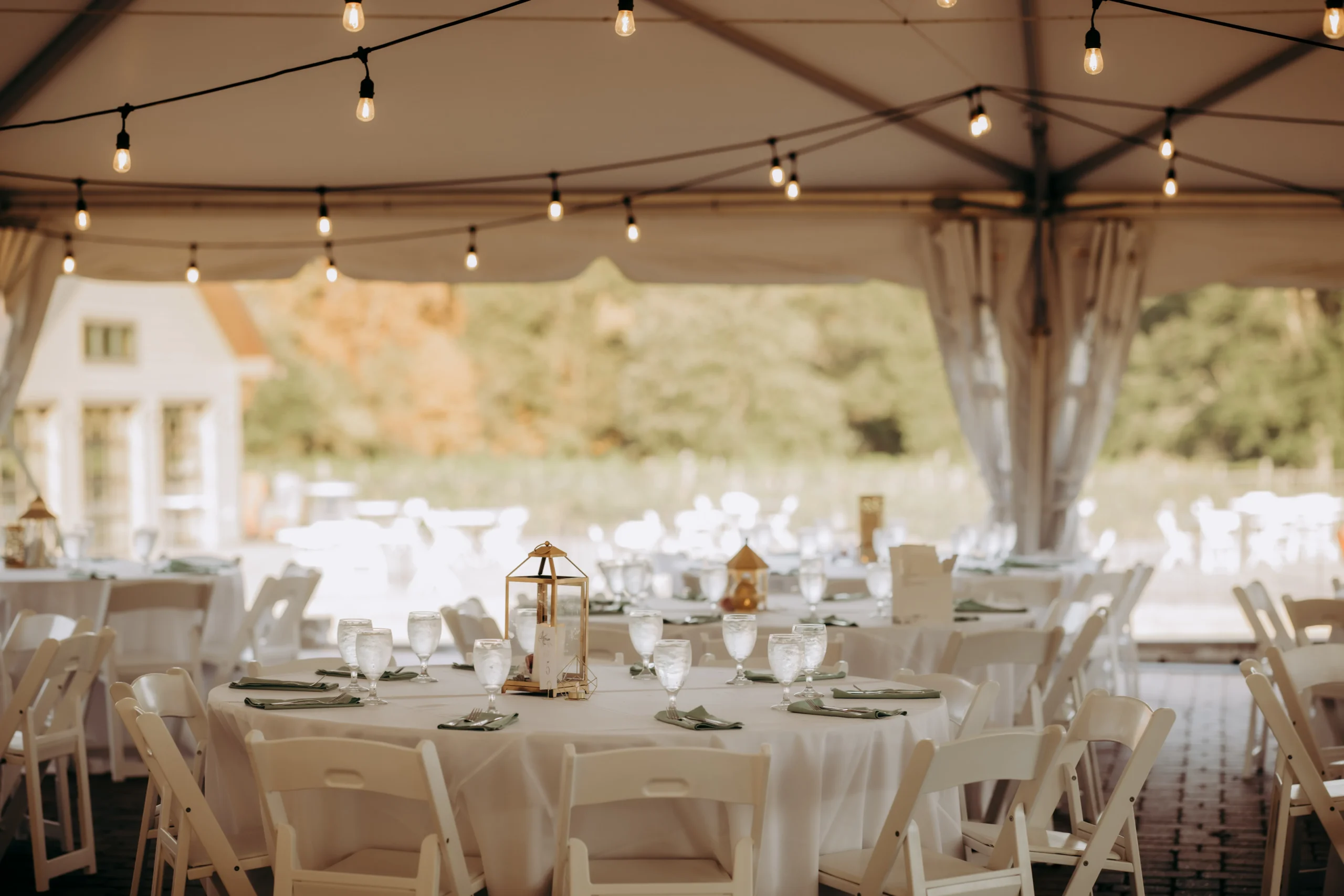 Wedding setting among the trees at Villa Antonio Winery