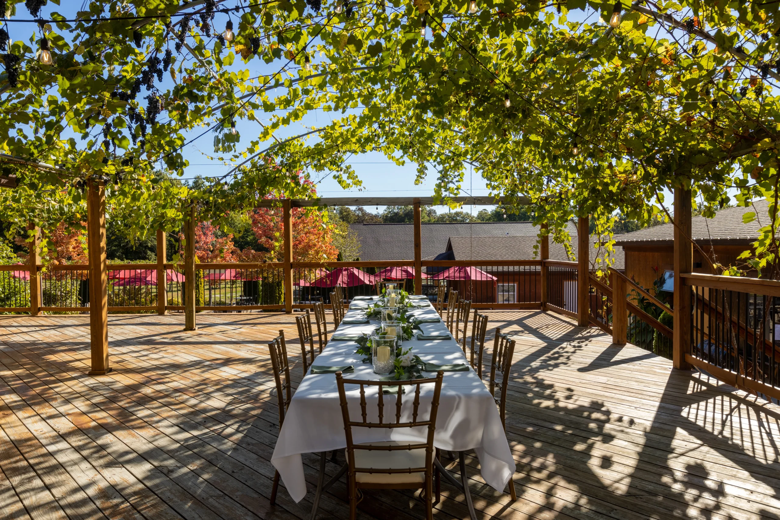 Rehearsal dinner venue at Villa Antonio Winery
