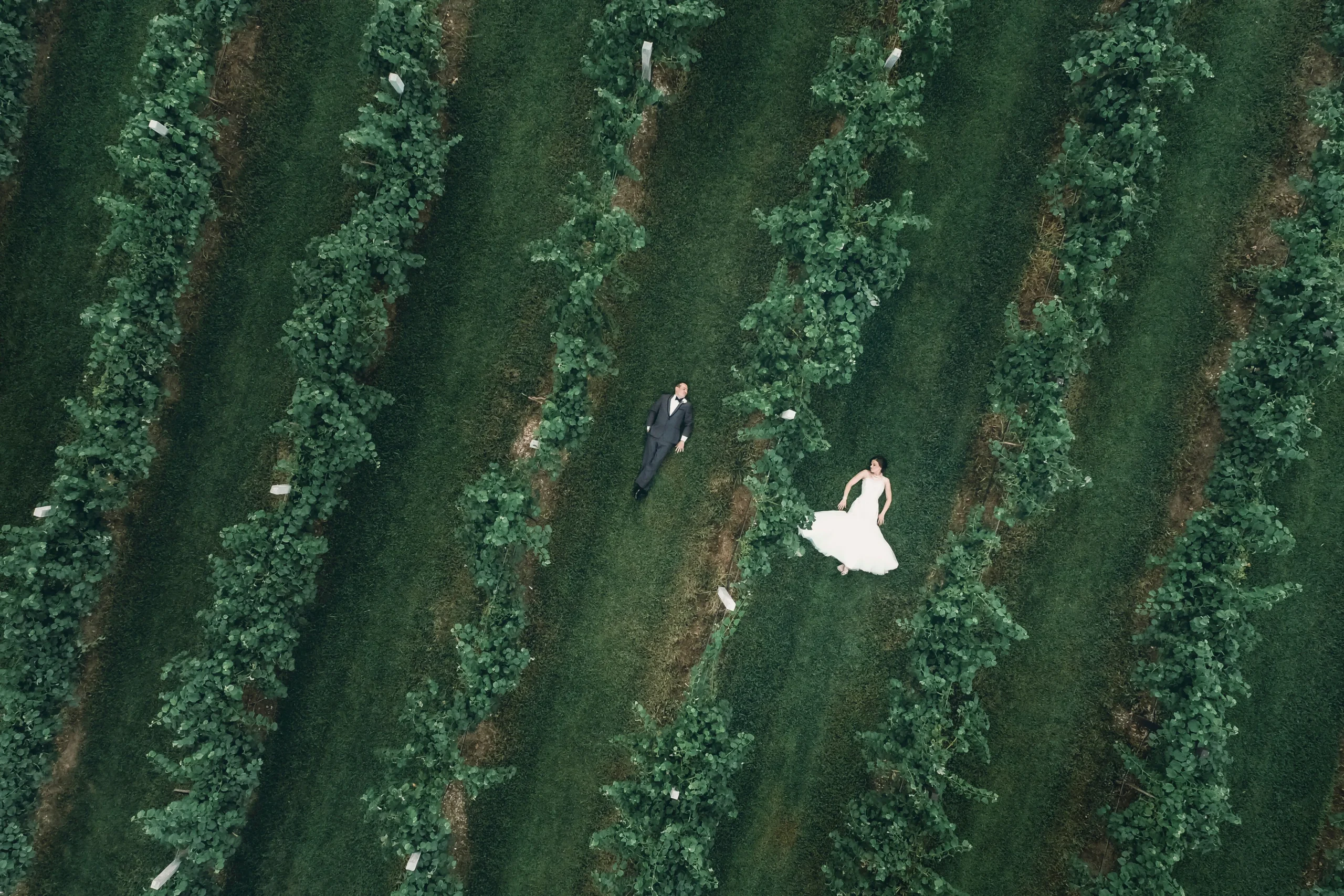 Vineyard wedding setting at Villa Antonio Winery