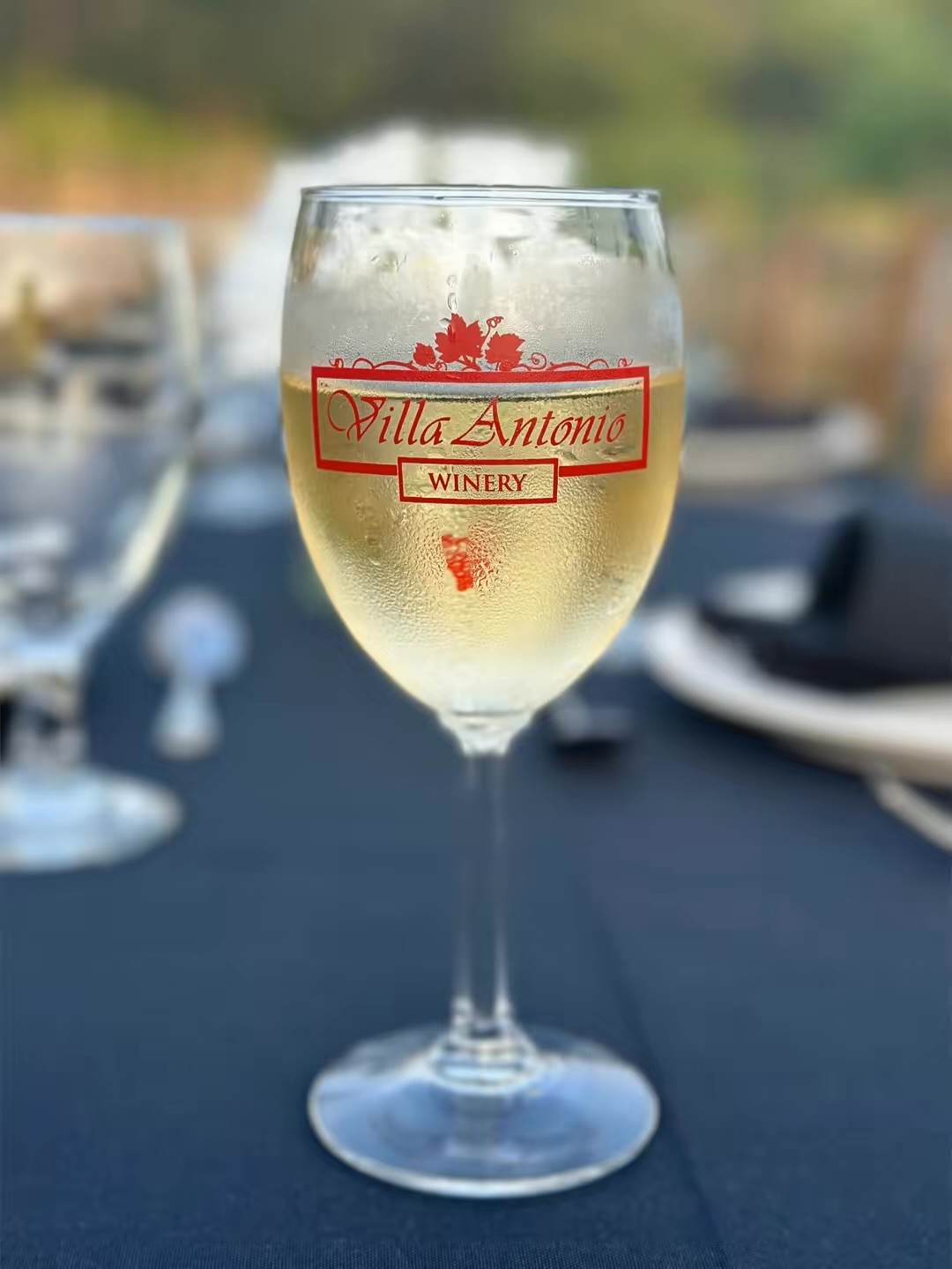 Wine, Beer & Cocktail Menu at Villa Antonio Winery