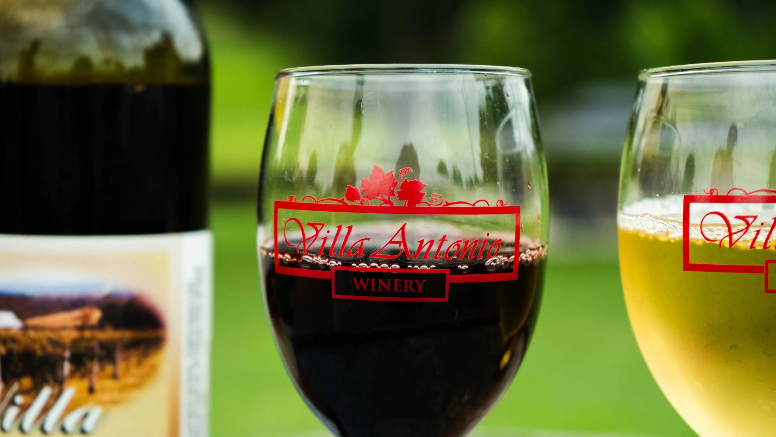 An afternoon of food and wine at Villa Antonio Winery