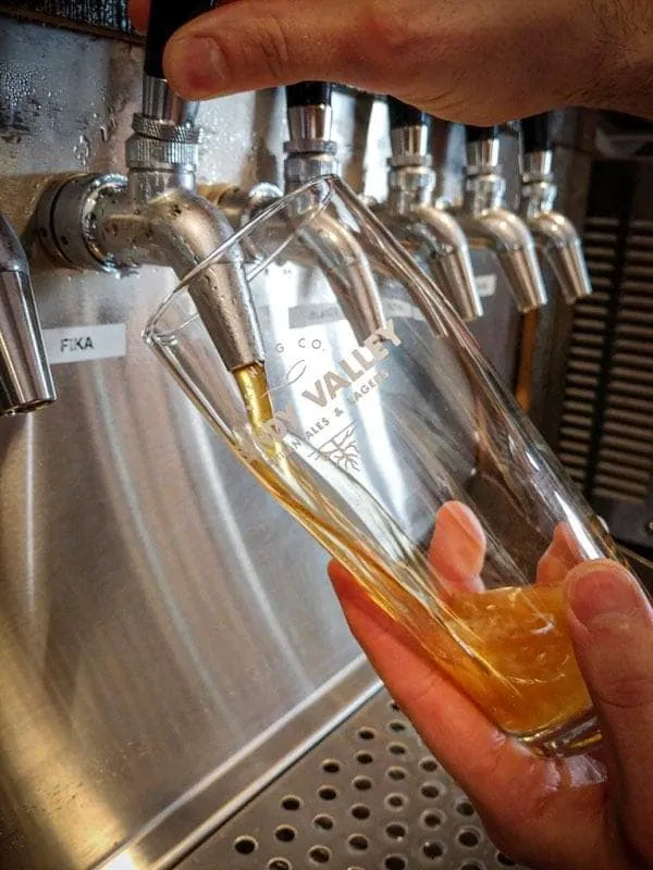 Craft beer paired with food at Villa Antonio Winery