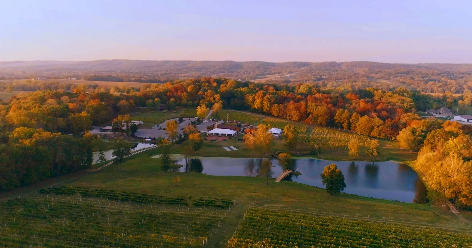 Private celebration at Villa Antonio Winery