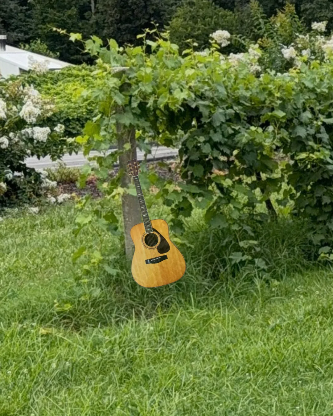 Live Music at Villa Antonio Winery