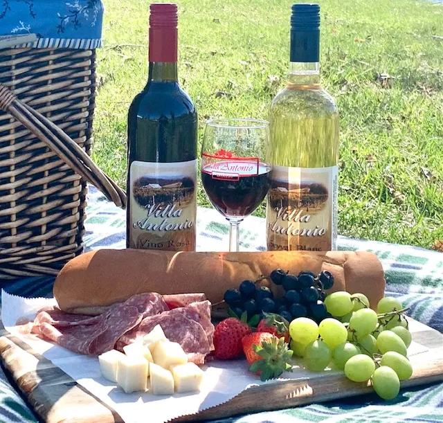 Guests staying for the afternoon at Villa Antonio Winery